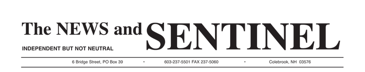 The News and Sentinel, Inc. logo